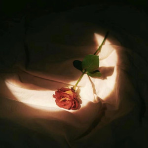 丰滿熟女BBwBBwBBw
