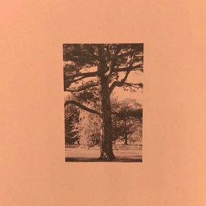 丰滿熟女BBwBBwBBw
