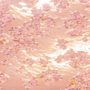 丰滿熟女BBwBBwBBw
